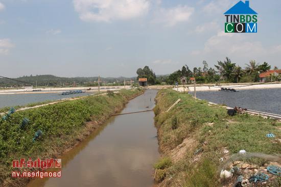 Hình ảnh Quỳnh Mai, Nghệ An