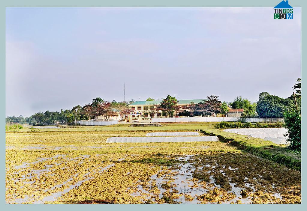 Hình ảnh Tam Đồng, Nghệ An