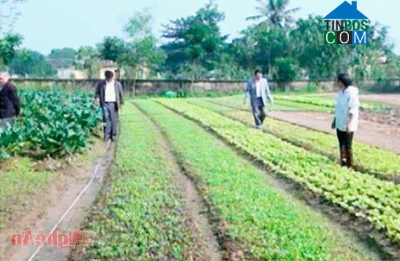 Hình ảnh Tân Kỳ, Nghệ An