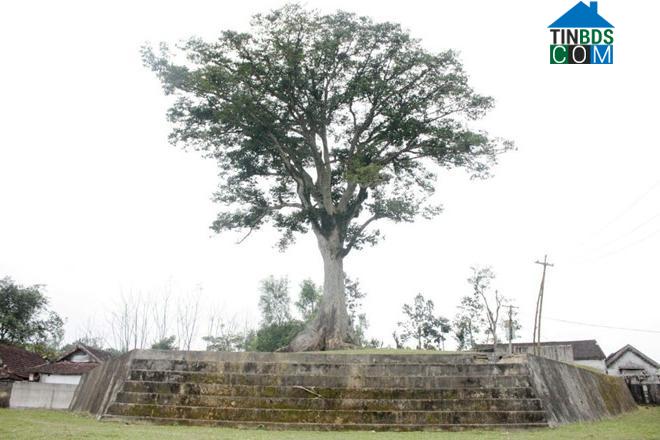 Hình ảnh Đại Đồng, Nghệ An