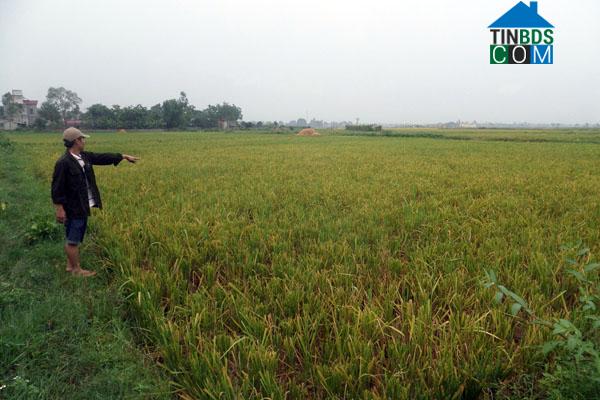 Hình ảnh Thanh Bình, Ninh Bình