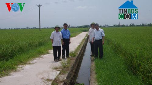 Hình ảnh Vụ Bản, Ninh Bình