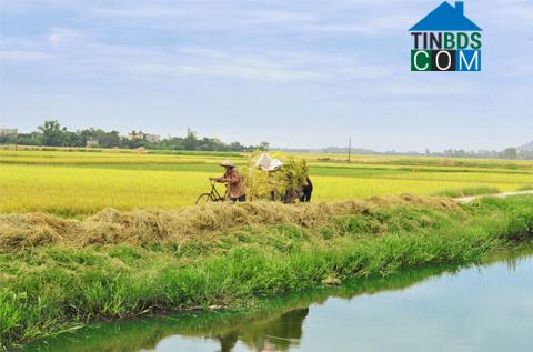 Hình ảnh Ý Yên, Ninh Bình