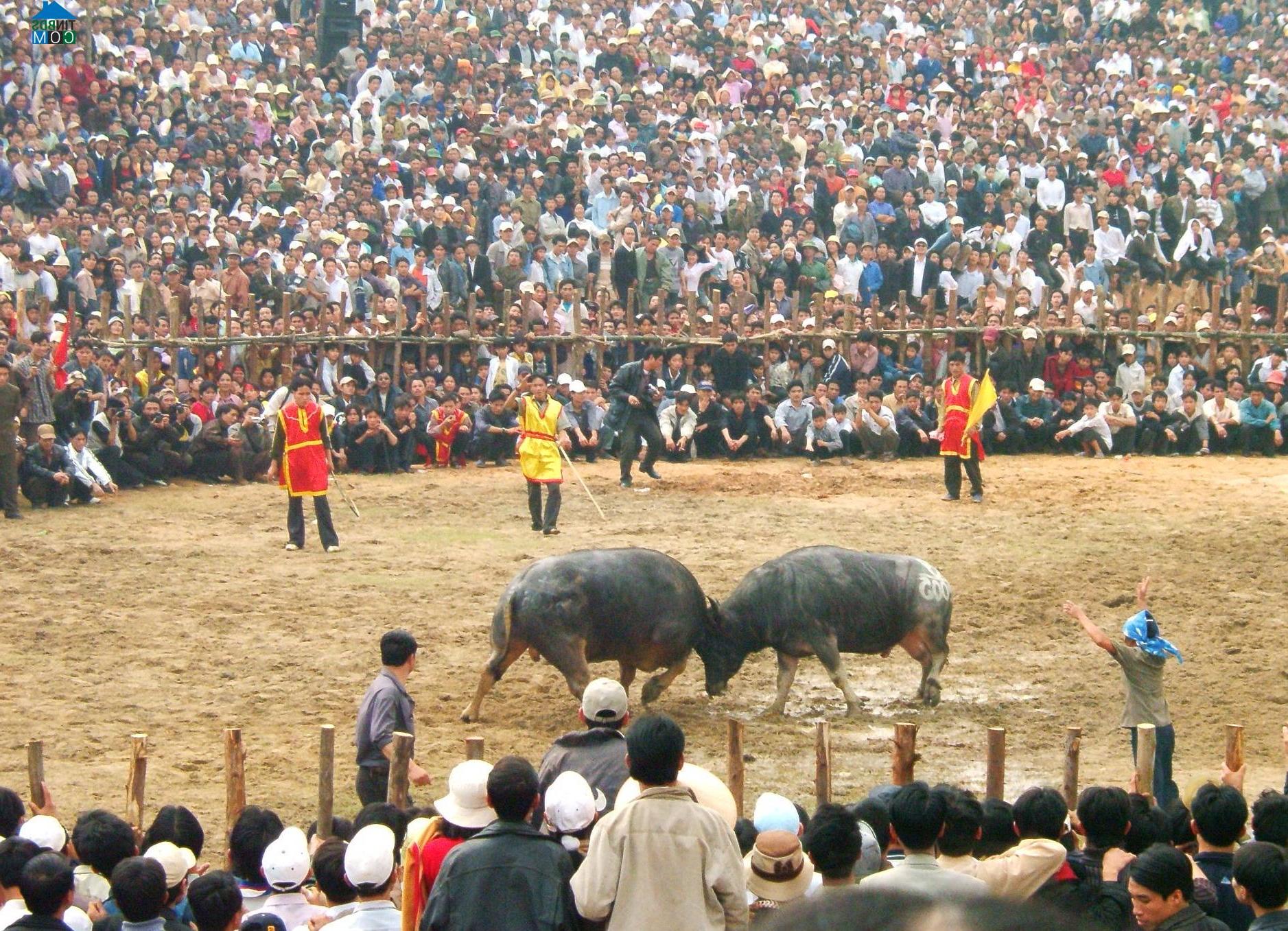 Hình ảnh Hải Lựu, Phú Thọ