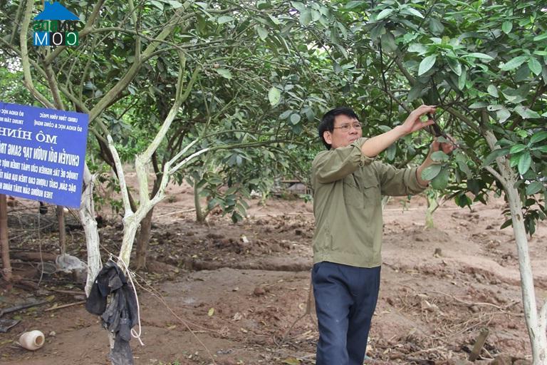 Hình ảnh Liên Châu, Phú Thọ