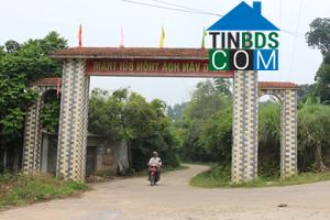 Hình ảnh Lương Sơn, Phú Thọ