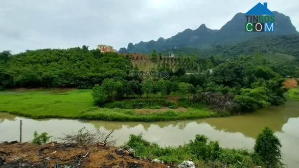 Hình ảnh Nật Sơn, Phú Thọ