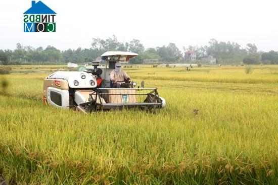 Hình ảnh Tam Đảo, Phú Thọ