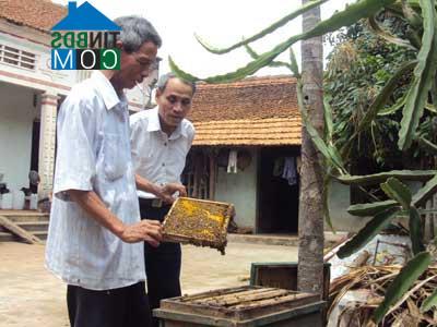 Hình ảnh Tam Dương Bắc, Phú Thọ