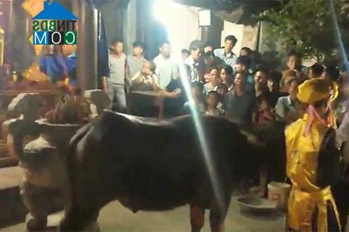 Hình ảnh Văn Lang, Phú Thọ