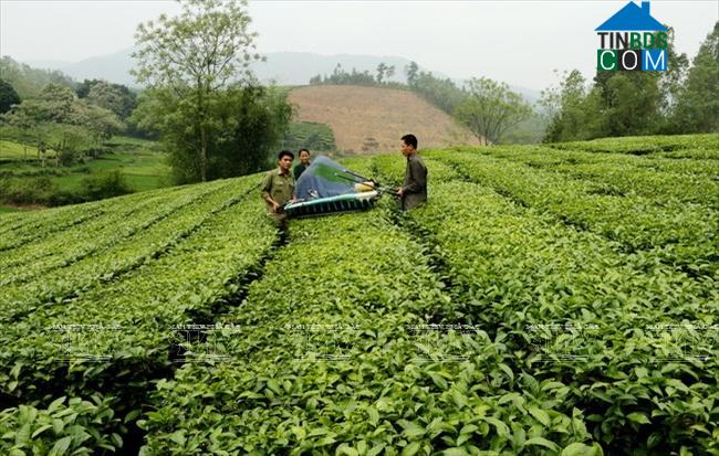 Hình ảnh Võ Miếu, Phú Thọ