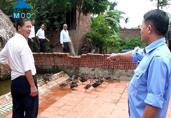 Hình ảnh Xuân Lãng, Phú Thọ