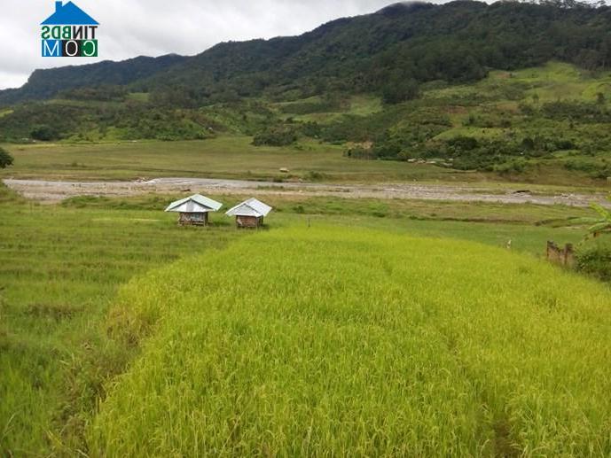 Hình ảnh Xốp, Quảng Ngãi