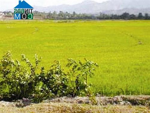 Hình ảnh Đăk Rơ Wa, Quảng Ngãi