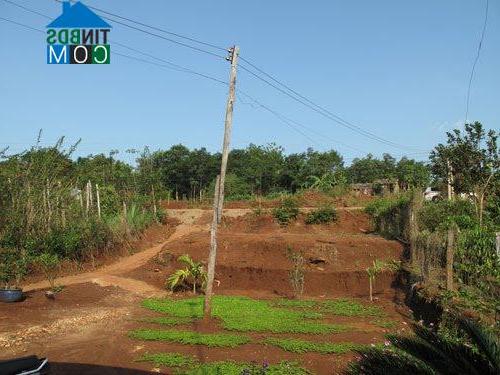 Hình ảnh Lộc Ninh, Đồng Nai