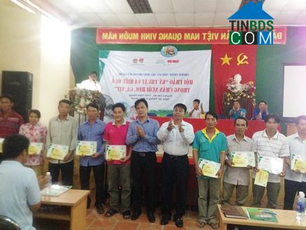 Hình ảnh Hội Cư, Đồng Tháp