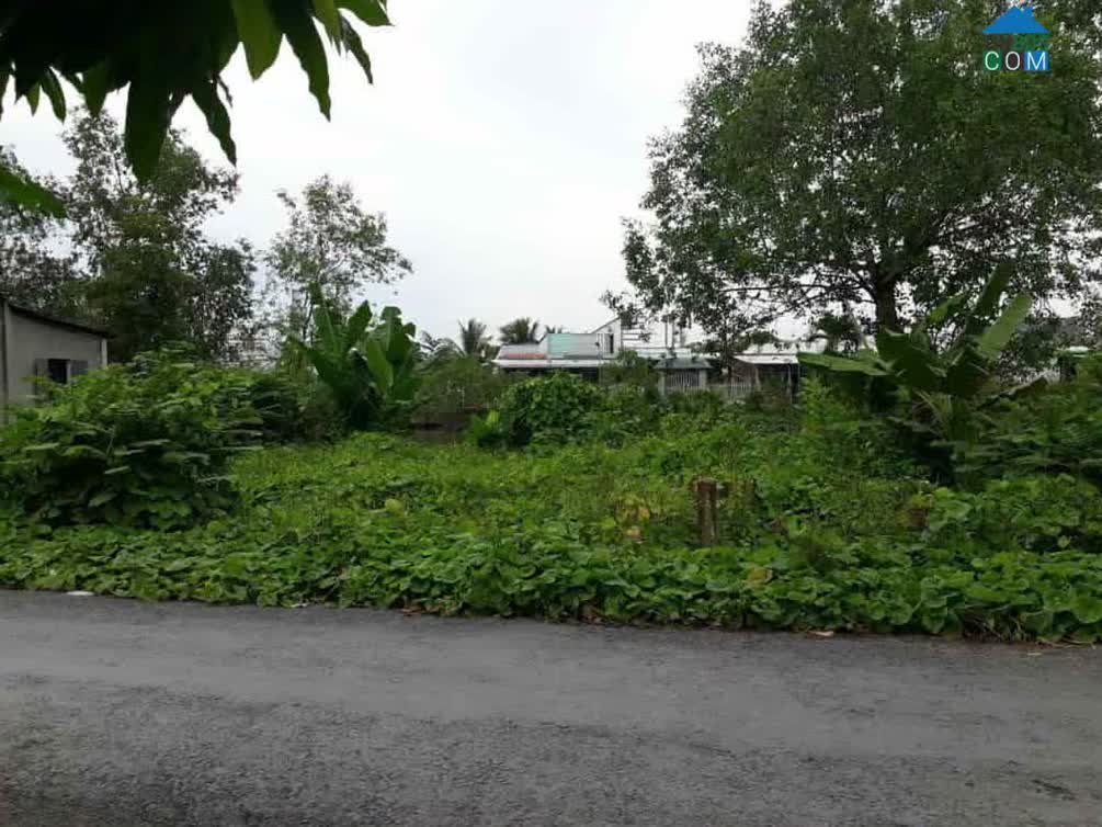 Hình ảnh Phú Hựu, Đồng Tháp