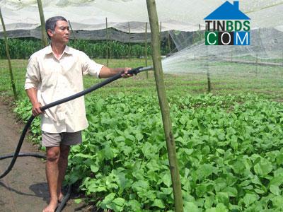 Hình ảnh Gò Công, Đồng Tháp