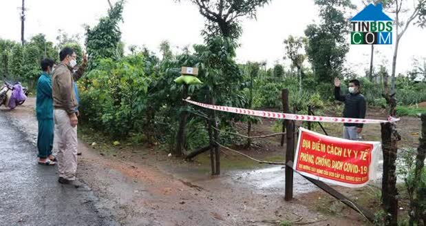 Hình ảnh Biển Hồ, Gia Lai