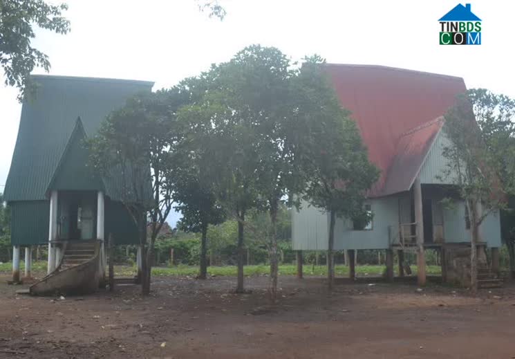 Hình ảnh Ia Phí, Gia Lai