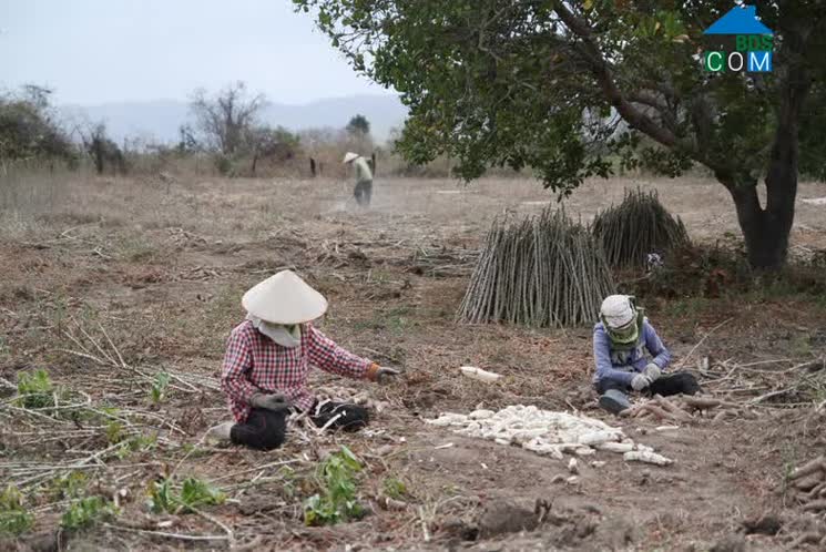 Hình ảnh Ia Rsai, Gia Lai