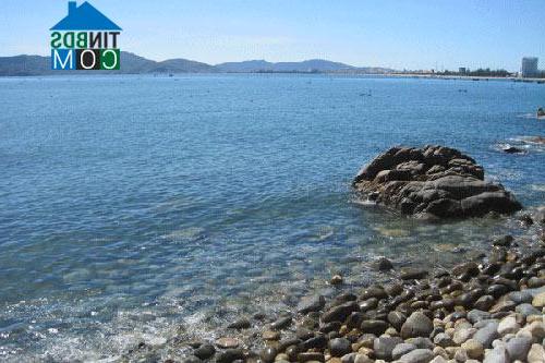 Hình ảnh Quy Nhơn Nam, Gia Lai