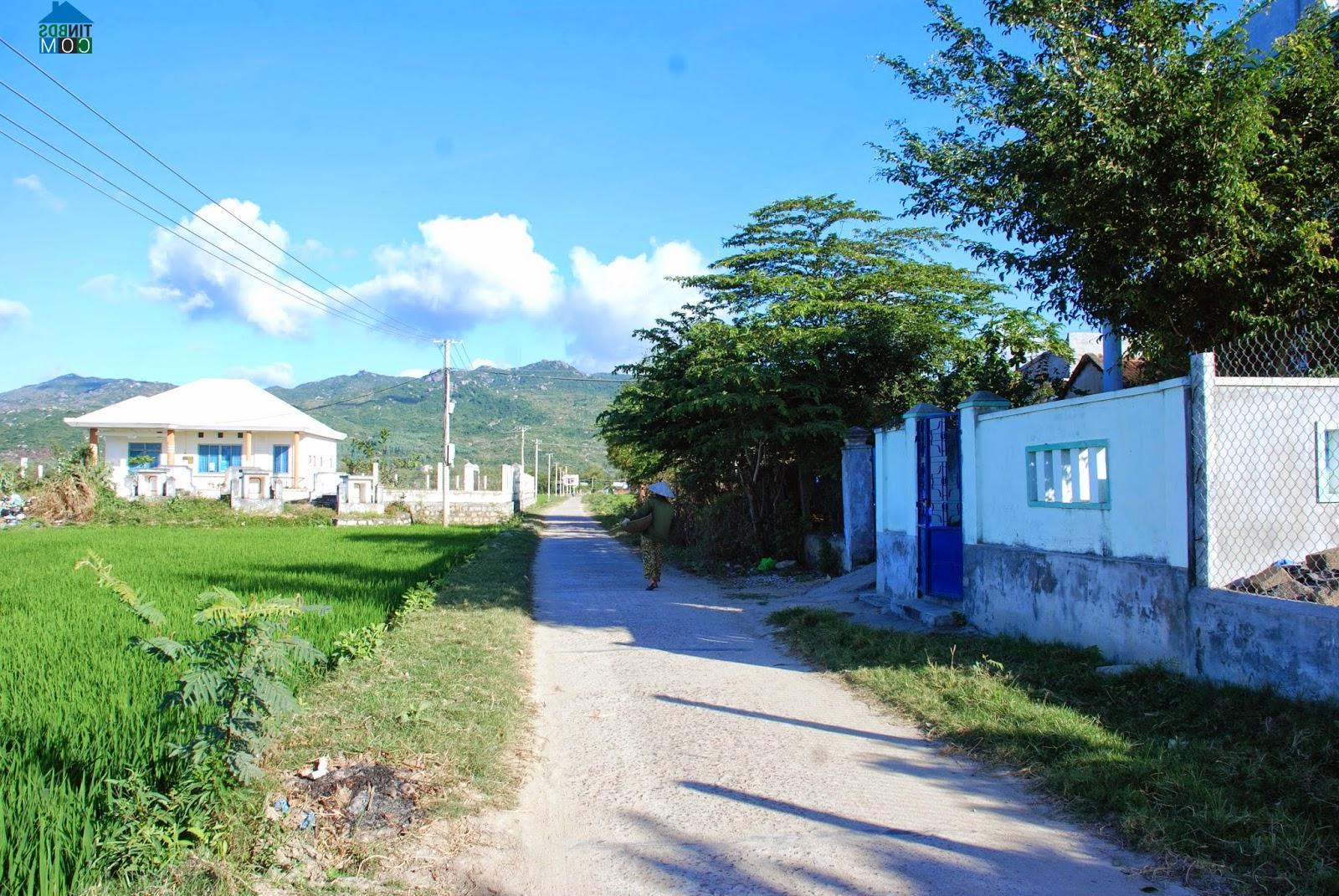 Hình ảnh Ngô Mây, Gia Lai