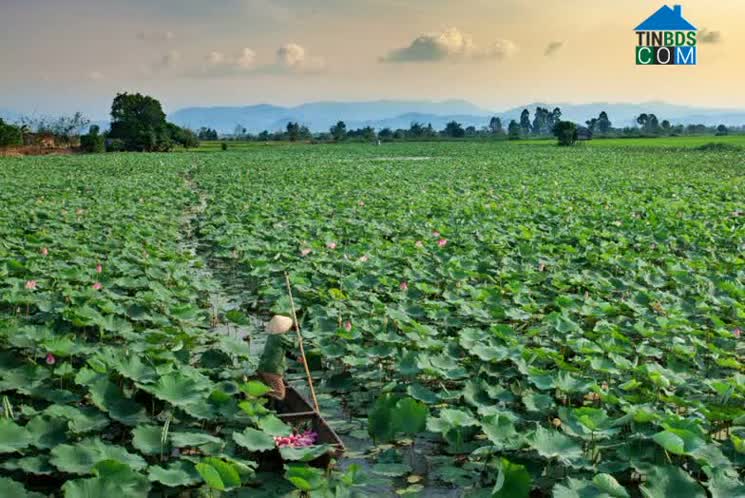 Hình ảnh Phú Thiện, Gia Lai