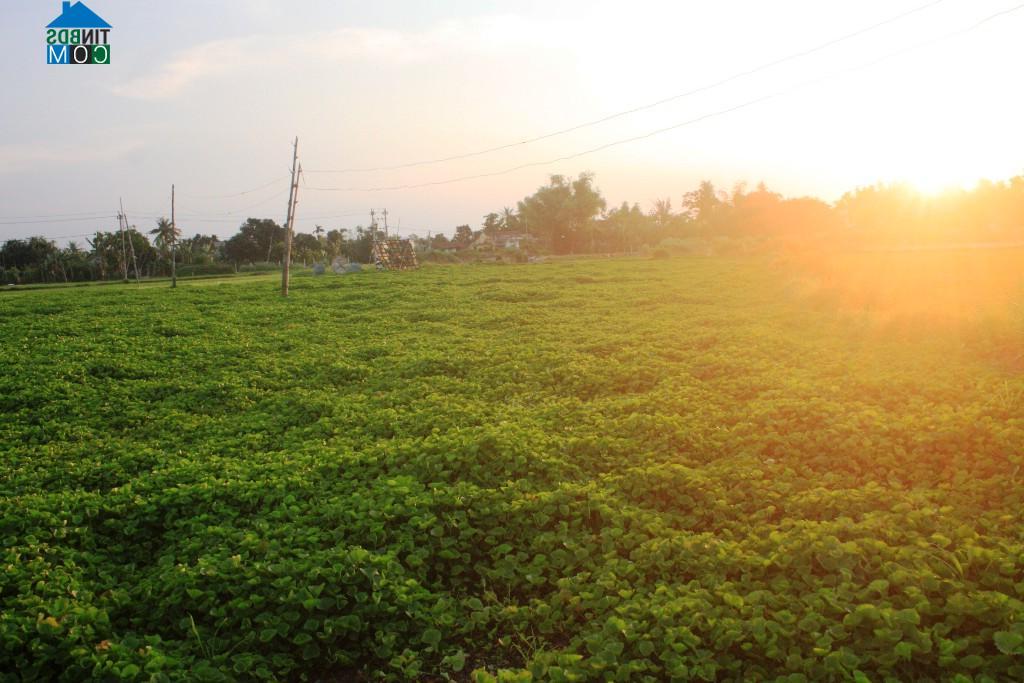 Hình ảnh Quy Nhơn Bắc, Gia Lai