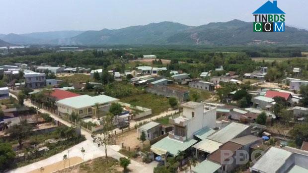 Hình ảnh Quy Nhơn Tây, Gia Lai