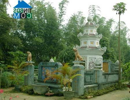 Hình ảnh Tuy Phước, Gia Lai