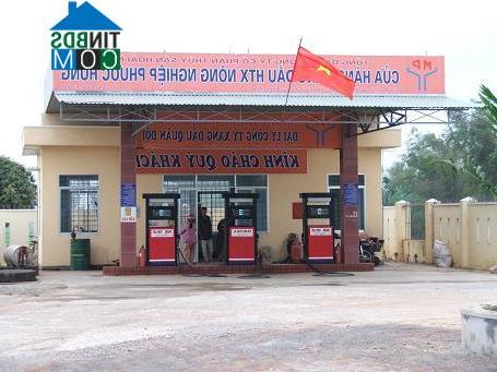 Hình ảnh Tuy Phước Bắc, Gia Lai