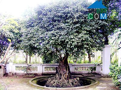 Hình ảnh Tiên Điền, Hà Tĩnh