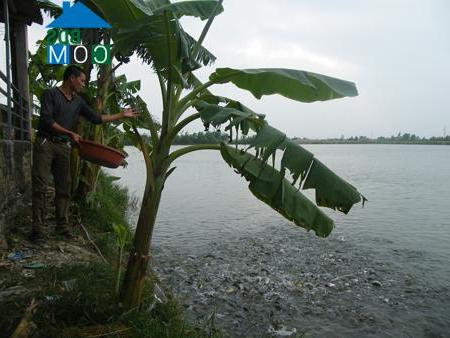 Hình ảnh Hồng Quang, Hưng Yên