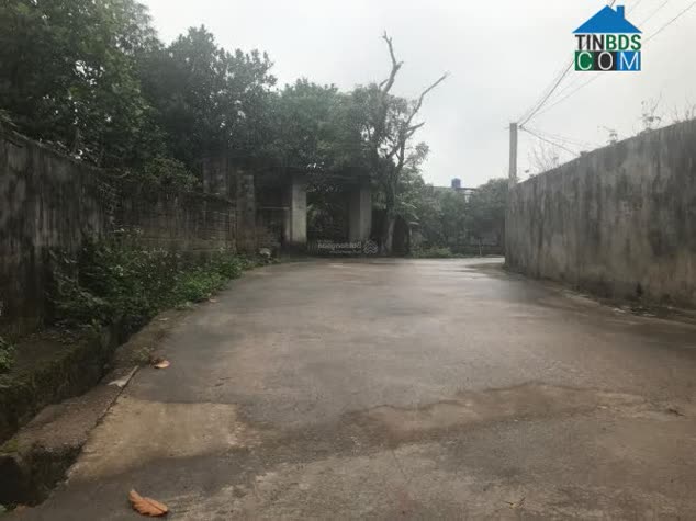 Hình ảnh Hưng Hà, Hưng Yên