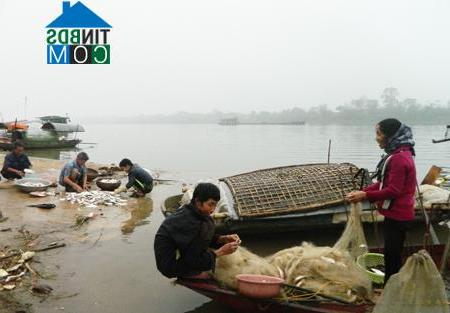 Hình ảnh Hồng Châu, Hưng Yên