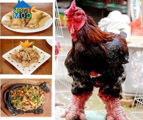 Hình ảnh Sơn Nam, Hưng Yên