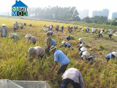 Hình ảnh Phụng Công, Hưng Yên