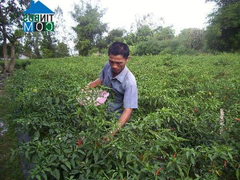 Hình ảnh Bắc Ninh Hòa, Khánh Hòa