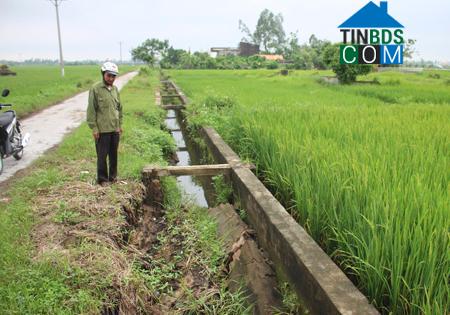 Hình ảnh Trần Hưng Đạo, Hưng Yên