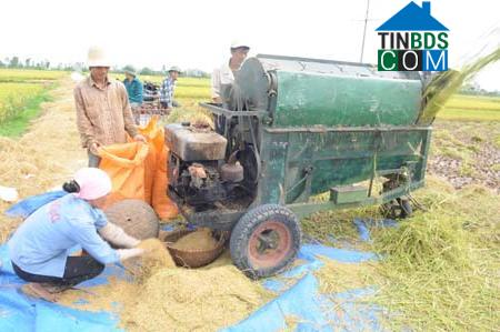 Hình ảnh Trần Lãm, Hưng Yên