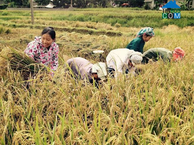 Hình ảnh Khổng Lào, Lai Châu