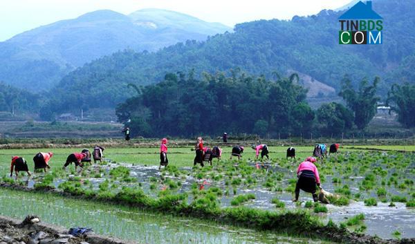 Hình ảnh Bình Lư, Lai Châu