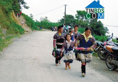 Hình ảnh Dào San, Lai Châu