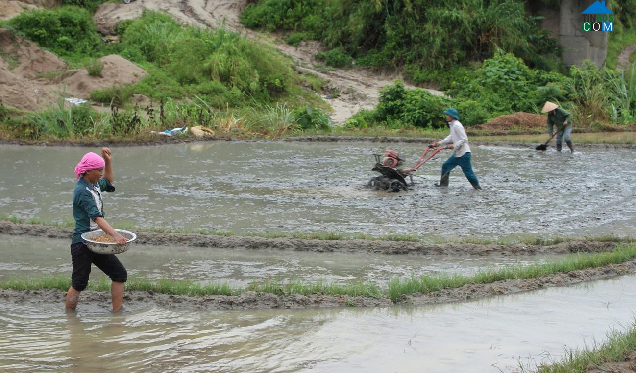 Hình ảnh Nậm Hàng, Lai Châu