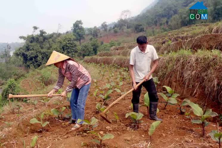 Hình ảnh Tả Lèng, Lai Châu