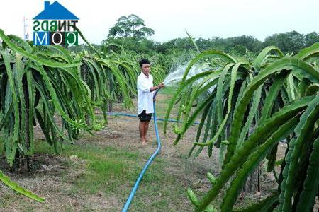 Hình ảnh Tuyên Quang, Lâm Đồng