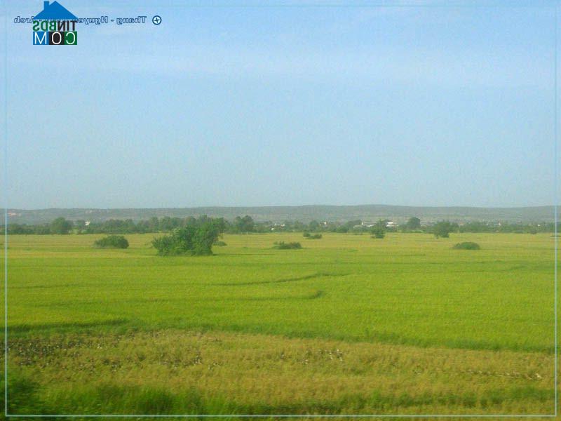 Hình ảnh Hải Ninh, Lâm Đồng