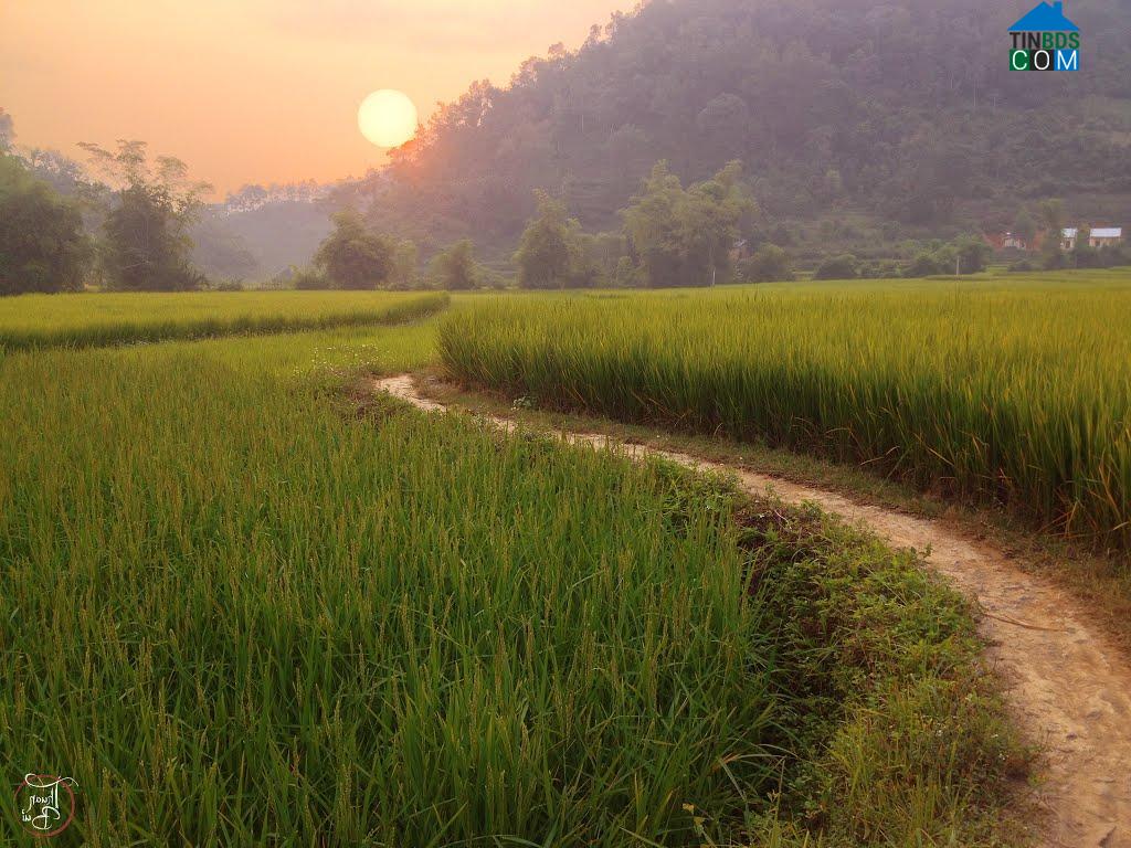 Hình ảnh Hoàng Văn Thụ, Lạng Sơn