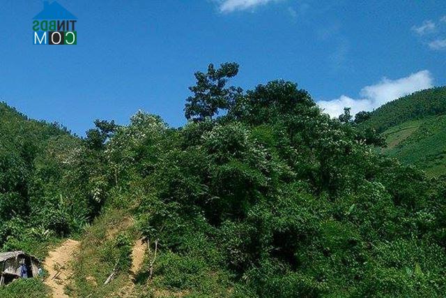 Hình ảnh Khánh Hòa, Lào Cai